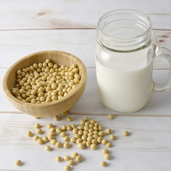 The Truth about Soy – Dispelling the Myths and Claims